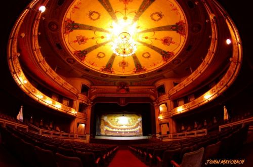 Fotografia de FOTOSNTESIS FOTOTALLERES - Galeria Fotografica: FOTOSNTESIS FOTOTALLERES - COLOMBIA - Foto: 