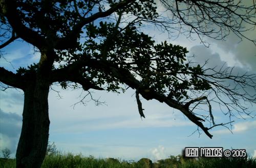 Fotografia de I & E Plus CS - Galeria Fotografica: Algunas Fotos - Foto: 