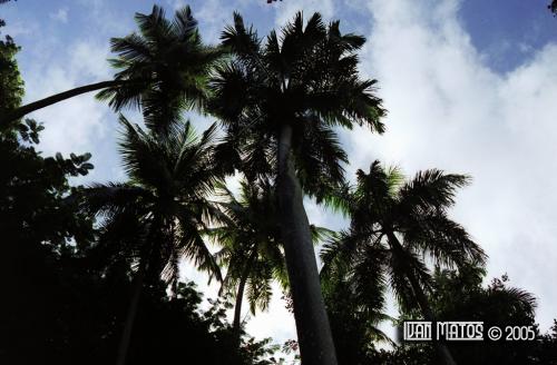 Fotografia de I & E Plus CS - Galeria Fotografica: Algunas Fotos - Foto: 