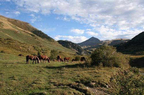 Fotografia de diegodi - Galeria Fotografica: Insectos y otros bichos - Foto: En libertad...