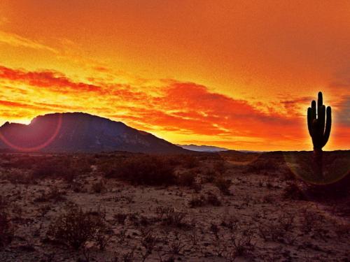 Fotografia de JAVIER MALISAN - Galeria Fotografica: Valle de la luna - Talampaya - Foto: 11A_0263