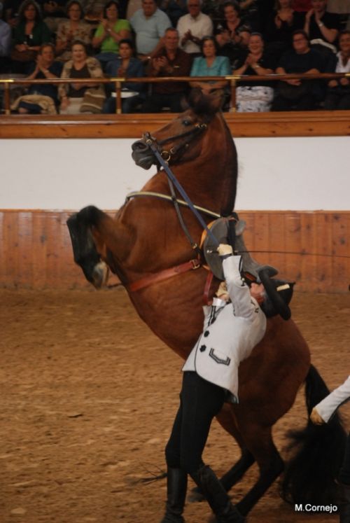 Fotografia de Fotomtica - Galeria Fotografica: Portfolio - Foto: 