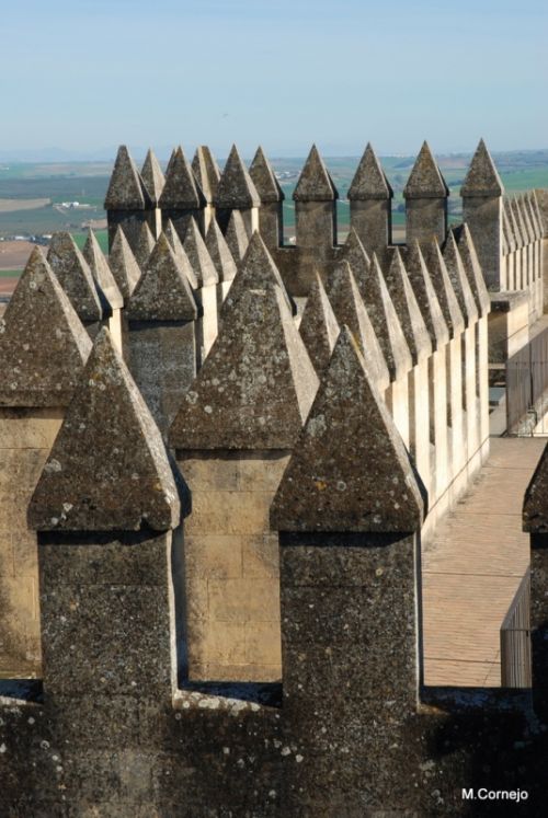 Fotografia de Fotomtica - Galeria Fotografica: Portfolio - Foto: 