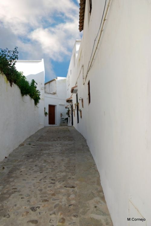 Fotografia de Fotomtica - Galeria Fotografica: Portfolio - Foto: 