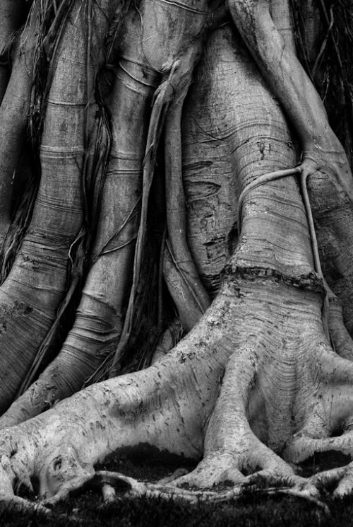 Fotografia de Alessandro Avenali - Galeria Fotografica: Fine-art - Foto: 