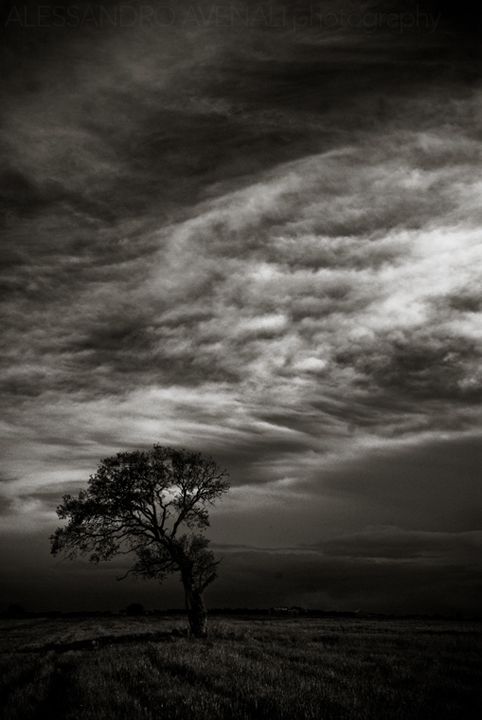 Fotografia de Alessandro Avenali - Galeria Fotografica: Fine-art - Foto: 