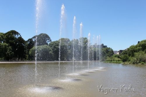 Fotografia de VagnerKadu - Galeria Fotografica: ANIMALES  - Foto: 