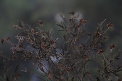 Fotografia de Jordi L. - Galeria Fotografica: de todo - Foto: 