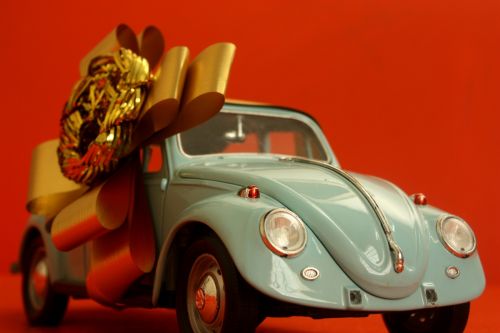 Fotografia de Cucu de tal. - Galeria Fotografica: De ida y vuelta. - Foto: Inicio