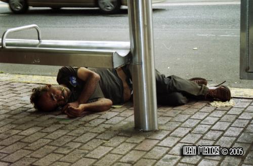 Fotografia de I & E Plus CS - Galeria Fotografica: Sociales - Foto: 