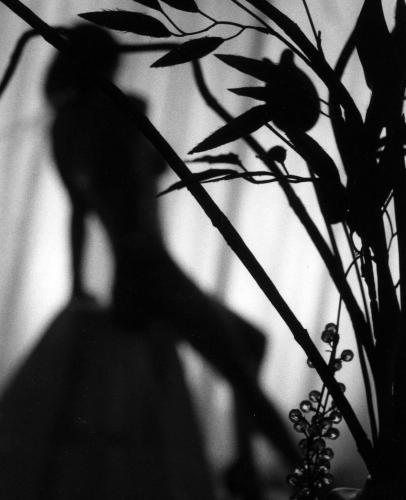Fotografia de lorena franco - Galeria Fotografica: cuerpo - Foto: desnudo en sombras