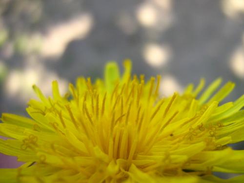 Fotografia de Ferpadog - Galeria Fotografica: Naturaleza - Foto: Naturaleza 004