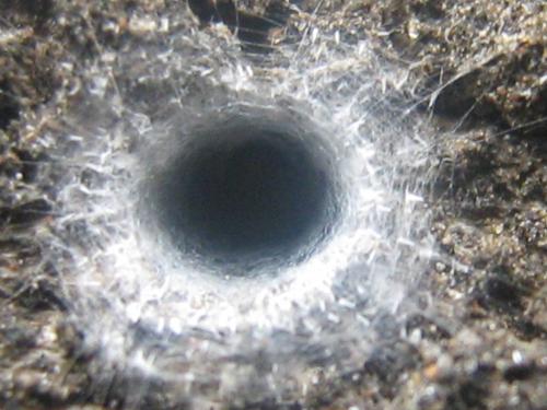 Fotografia de Ferpadog - Galeria Fotografica: Varios - Foto: Varios 002