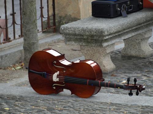 Fotografia de JuanjoC - Galeria Fotografica: Salamanca 2008 - Foto: 