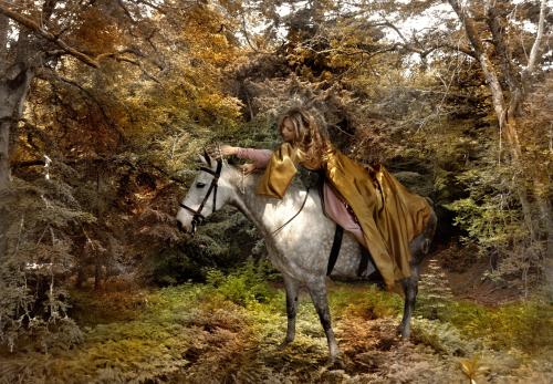 Fotografia de Manuel Barca - Galeria Fotografica: Portafolio 1 - Foto: 