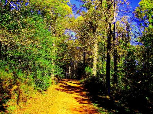 Fotografia de Bipolarweb - Galeria Fotografica: Bipolar - Foto: 