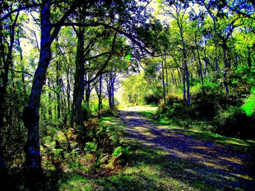 Fotografia de Bipolarweb - Galeria Fotografica: Bipolar - Foto: 