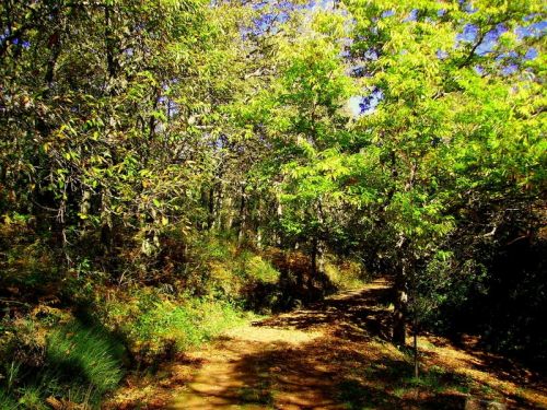 Fotografia de Bipolarweb - Galeria Fotografica: Bipolar - Foto: 