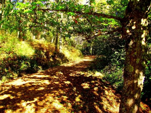 Fotografia de Bipolarweb - Galeria Fotografica: Bipolar - Foto: 