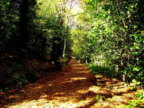 Fotografia de Bipolarweb - Galeria Fotografica: Bipolar - Foto: 