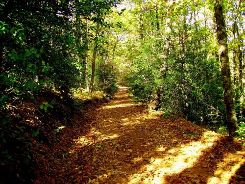 Fotografia de Bipolarweb - Galeria Fotografica: Bipolar - Foto: 