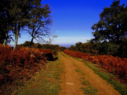 Fotografia de Bipolarweb - Galeria Fotografica: Bipolar - Foto: 