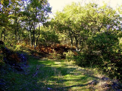 Fotografia de Bipolarweb - Galeria Fotografica: Bipolar - Foto: 