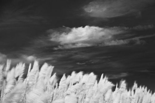 Fotografia de Euskal paisajes - Galeria Fotografica: Galeria Euskal-paisajes 01 - Foto: 