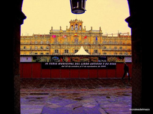 Fotografia de Bipolarweb - Galeria Fotografica: Bipolar - Foto: 