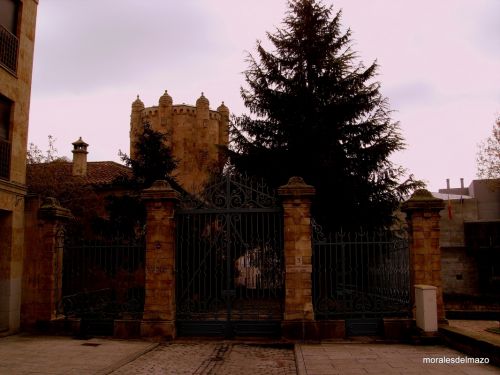 Fotografia de Bipolarweb - Galeria Fotografica: Bipolar - Foto: 