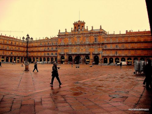 Fotografia de Bipolarweb - Galeria Fotografica: Bipolar - Foto: 