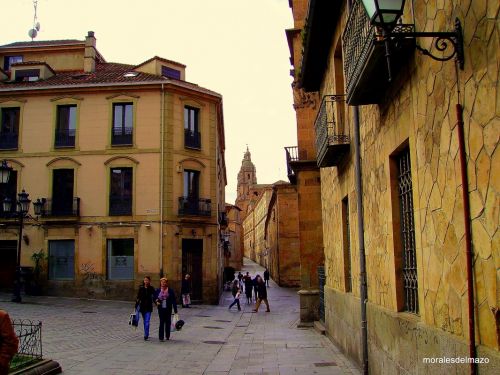 Fotografia de Bipolarweb - Galeria Fotografica: Bipolar - Foto: 