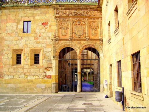 Fotografia de Bipolarweb - Galeria Fotografica: Bipolar - Foto: 