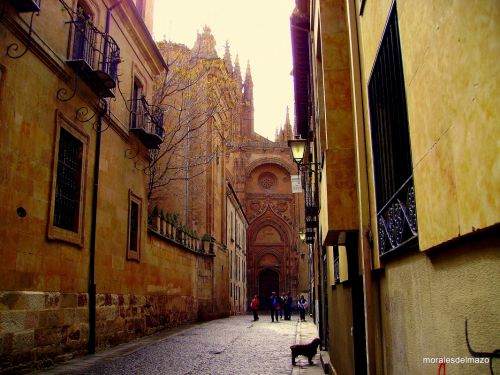 Fotografia de Bipolarweb - Galeria Fotografica: Bipolar - Foto: 