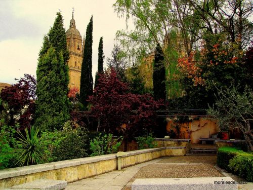 Fotografia de Bipolarweb - Galeria Fotografica: Bipolar - Foto: 