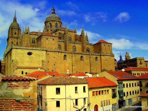 Fotografia de Bipolarweb - Galeria Fotografica: Bipolar - Foto: 