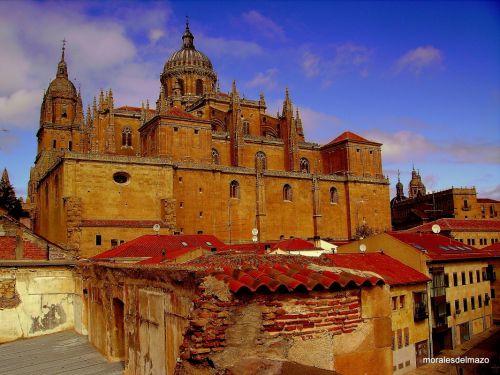 Fotografia de Bipolarweb - Galeria Fotografica: Bipolar - Foto: 