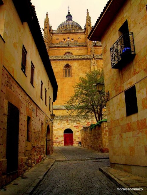 Fotografia de Bipolarweb - Galeria Fotografica: Bipolar - Foto: 