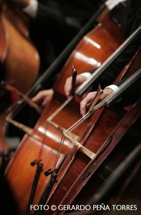 Fotografia de RGB STUDIO - Galeria Fotografica: PORTAFOLIO - Foto: 