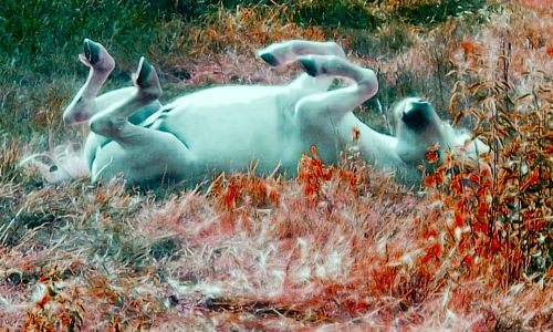 Fotografia de Marietta - Galeria Fotografica: Nature - Foto: 