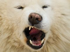 Fotografia de Marietta - Galeria Fotografica: Nature - Foto: 