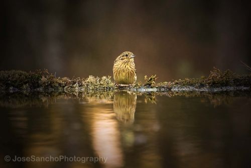 Fotografia de Jose Sancho Photography - Galeria Fotografica: Portfolio - Foto: Calor