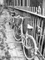 Fotos de Jose Sancho Photography -  Foto: Portfolio - Las bicicletas son para el verano