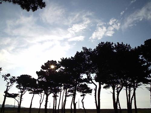 Fotografia de Paula Aravena Bouyer - Galeria Fotografica: L E N G A - Foto: 