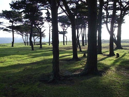 Fotografia de Paula Aravena Bouyer - Galeria Fotografica: L E N G A - Foto: 