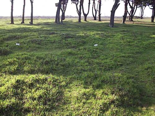 Fotografia de Paula Aravena Bouyer - Galeria Fotografica: L E N G A - Foto: 