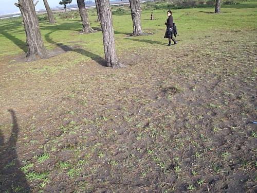 Fotografia de Paula Aravena Bouyer - Galeria Fotografica: L E N G A - Foto: 