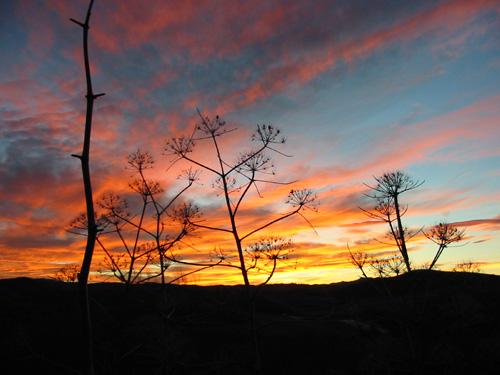 Fotografia de diegodi - Galeria Fotografica: Sitios y lugares - Foto: Atardecer