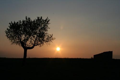 Fotografia de diegodi - Galeria Fotografica: Sitios y lugares - Foto: Hasta ma�ana...