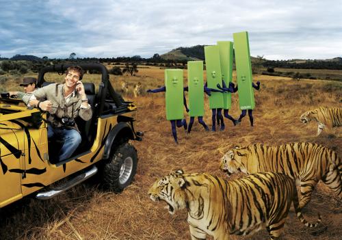 Fotografia de 7x7 - Galeria Fotografica: Campaas - Foto: Safari